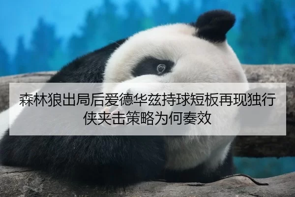 森林狼出局后爱德华兹持球短板再现独行侠夹击策略为何奏效