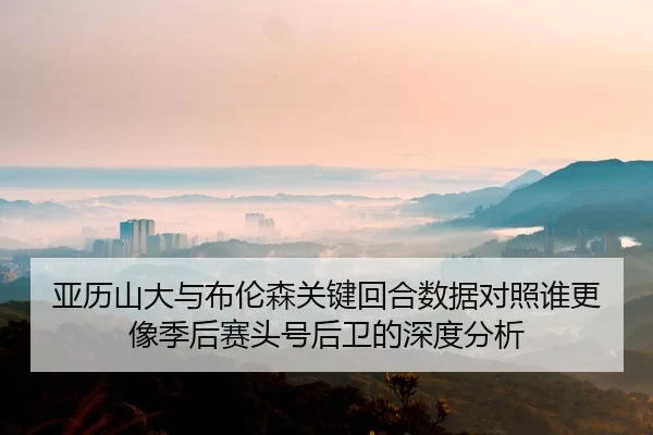 亚历山大与布伦森关键回合数据对照谁更像季后赛头号后卫的深度分析