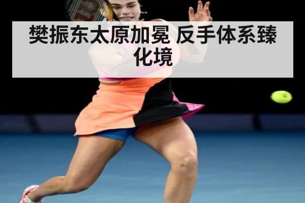 樊振东太原加冕 反手体系臻化境