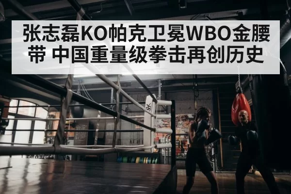 boxer training