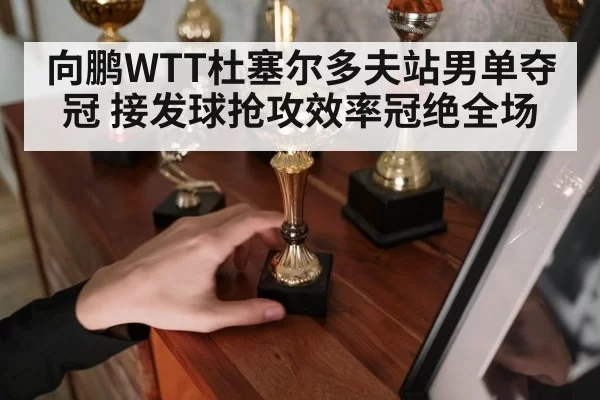 向鹏WTT杜塞尔多夫站男单夺冠 接发球抢攻效率冠绝全场